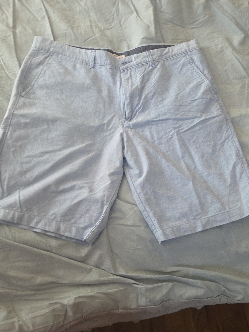 Merona Light Blue Flat-Front  Shorts